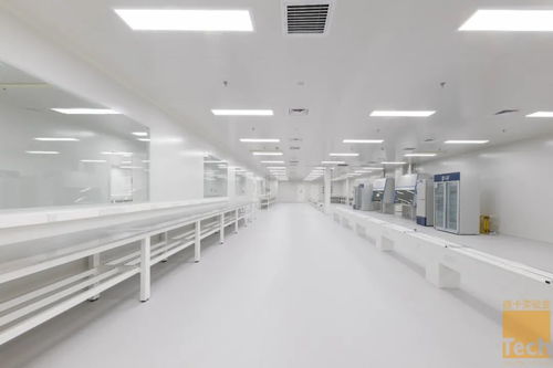 德卡實(shí)驗(yàn)室優(yōu)秀項(xiàng)目“賦源生物研發(fā)中心”順利竣工，助力惟物實(shí)驗(yàn)室邁向新篇章