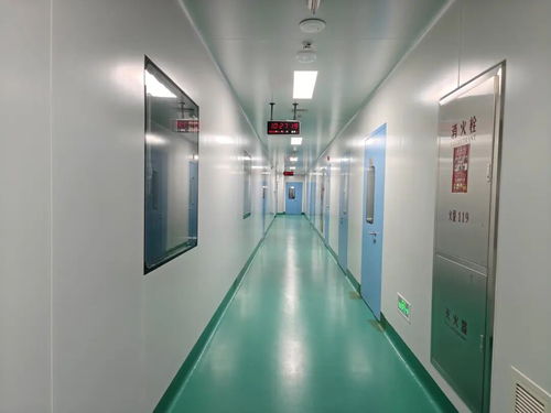 中原醫(yī)學(xué)科學(xué)城動(dòng)物實(shí)驗(yàn)室投用 惟物實(shí)驗(yàn)室開啟生命科學(xué)研究新篇章