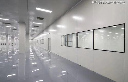 植物組培室設(shè)計指南 打造高效科學(xué)的植物實驗室